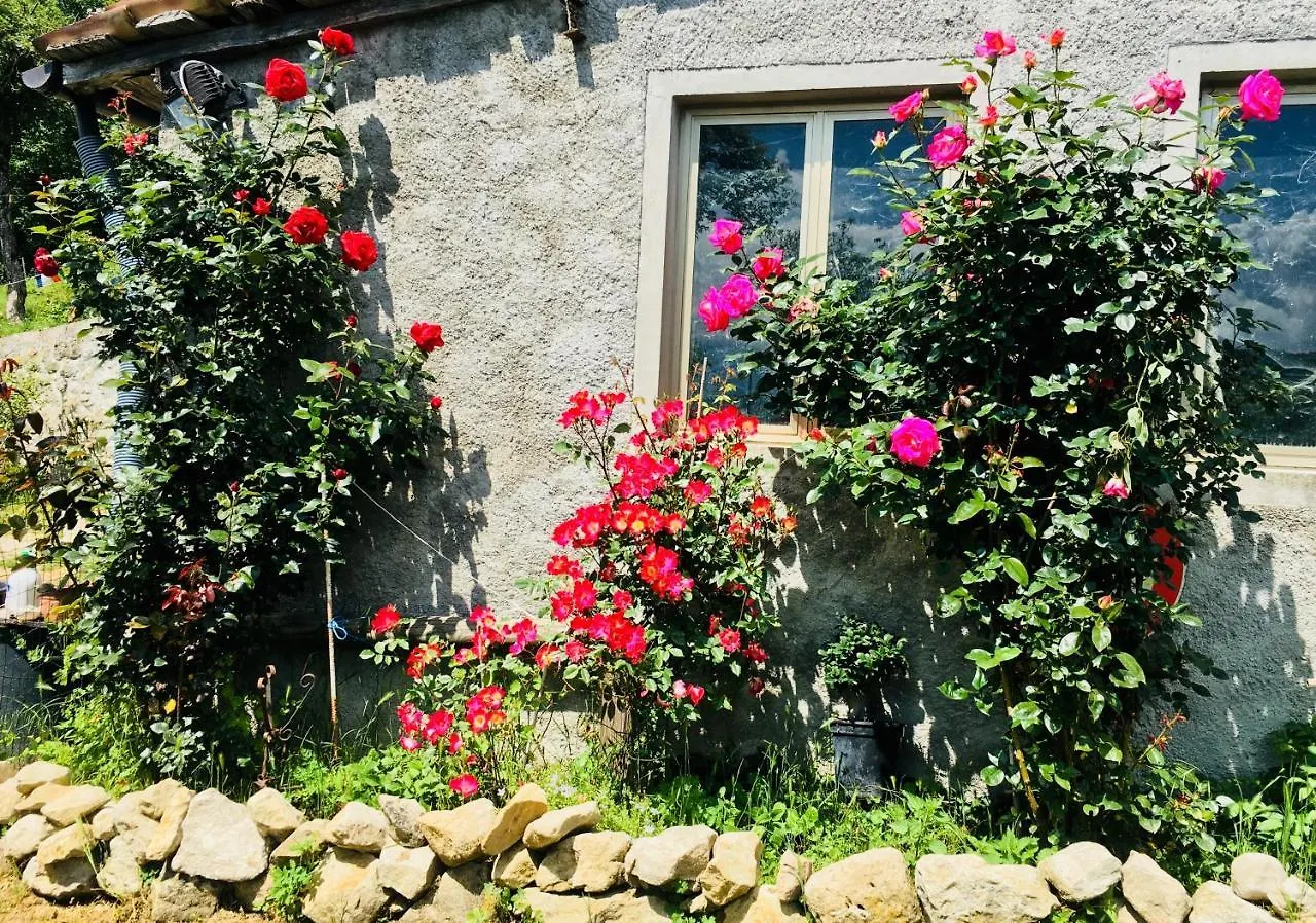 Appartamento Il residence della salute Montese